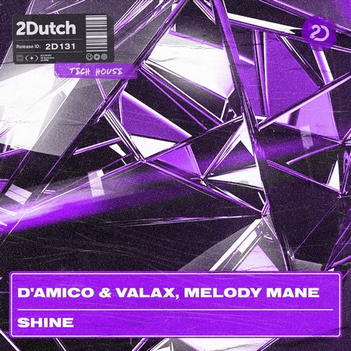 D'Amico & Valax, Melody Mane - Shine [2D131]